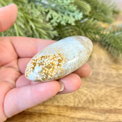 a person holding a rock in their hand