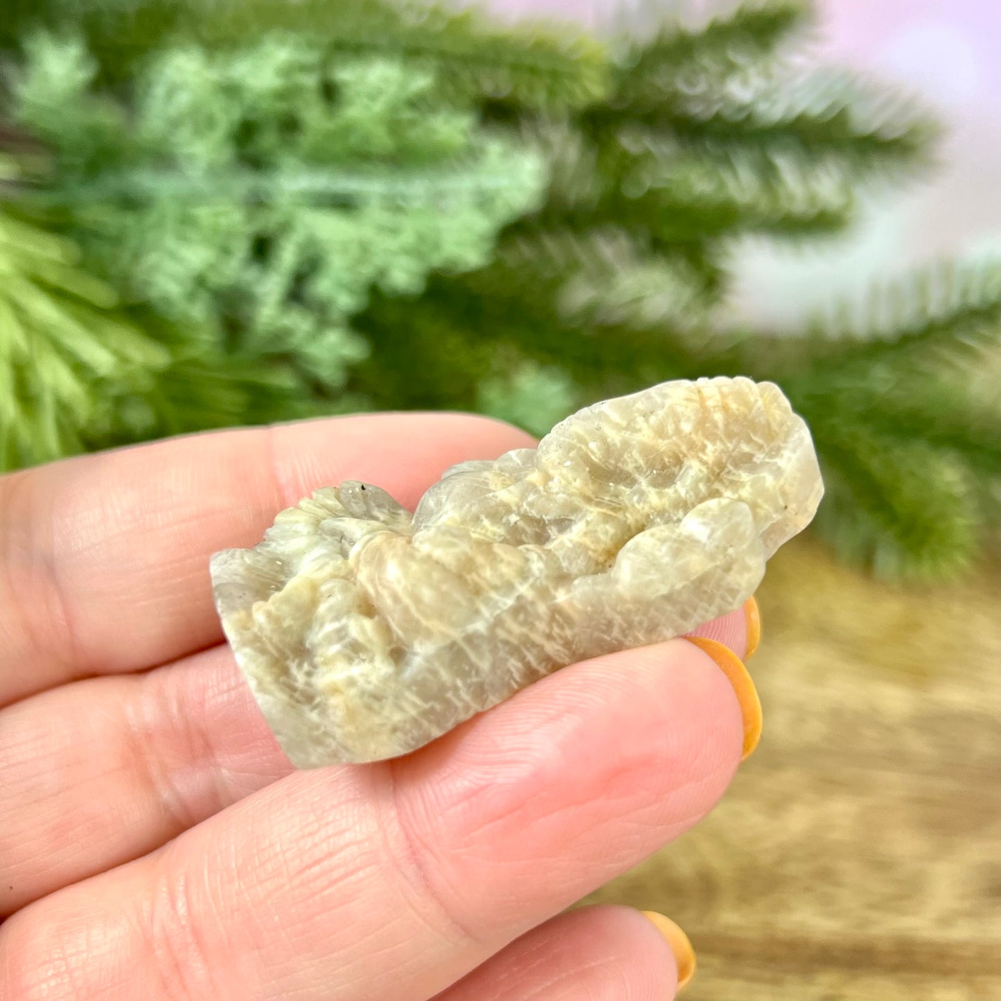 a person holding a piece of rock in their hand