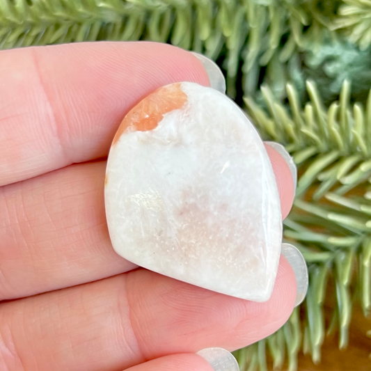 a person holding a piece of white rock in their hand