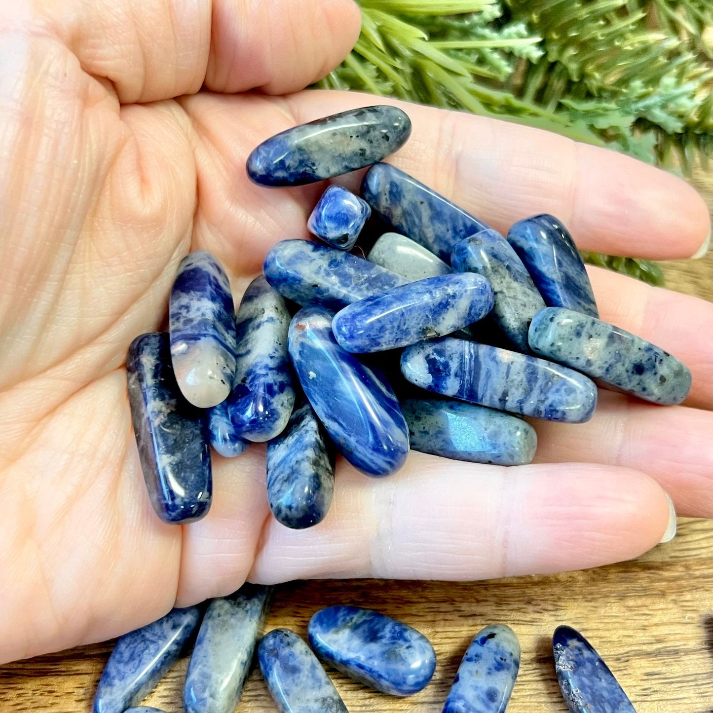 a group of blue and white sodalite tumbled crystals in a person&#39;s hand. They are long oval dagger shapes