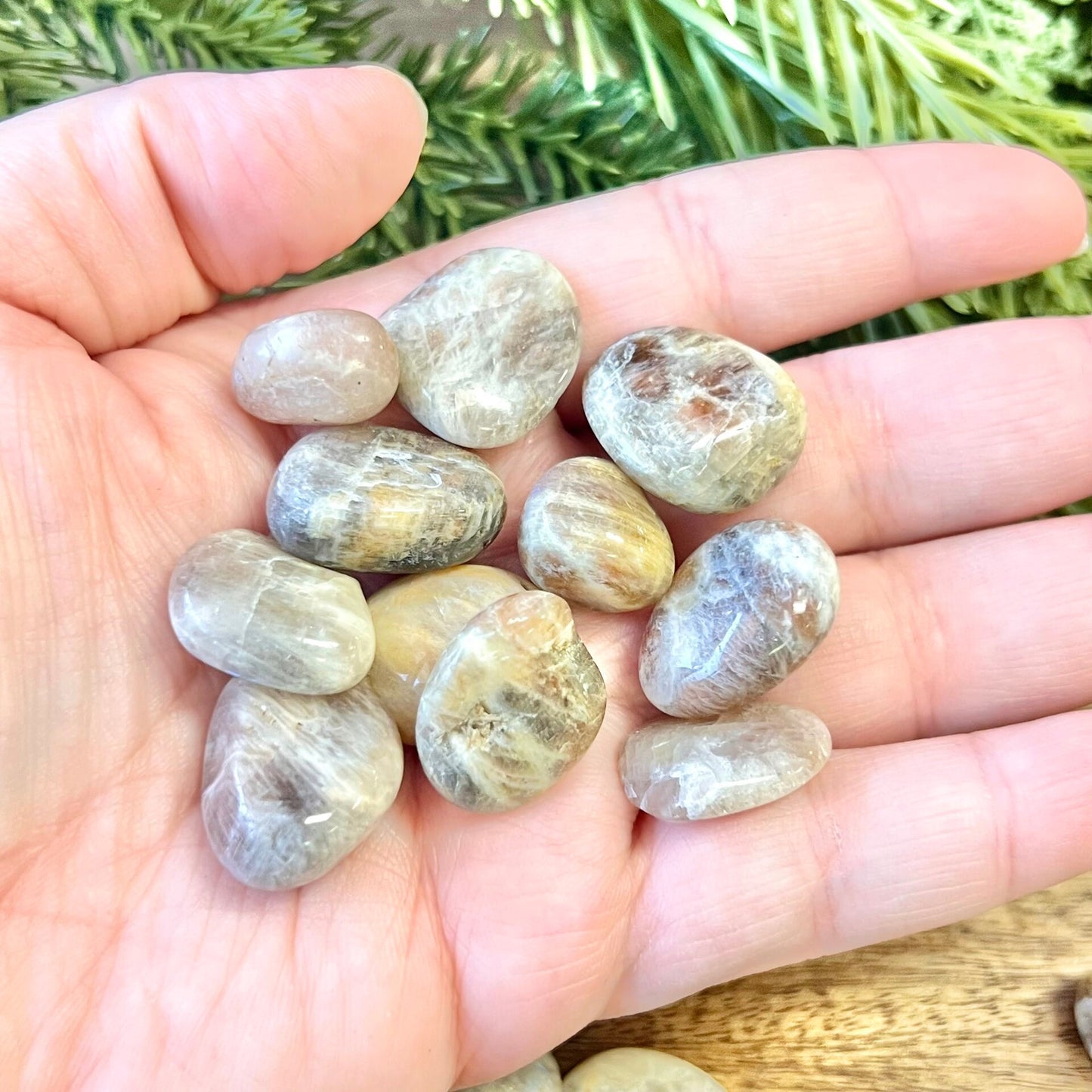 Belomorite Sunstone in Moonstone Tumbled Crystal - You get one