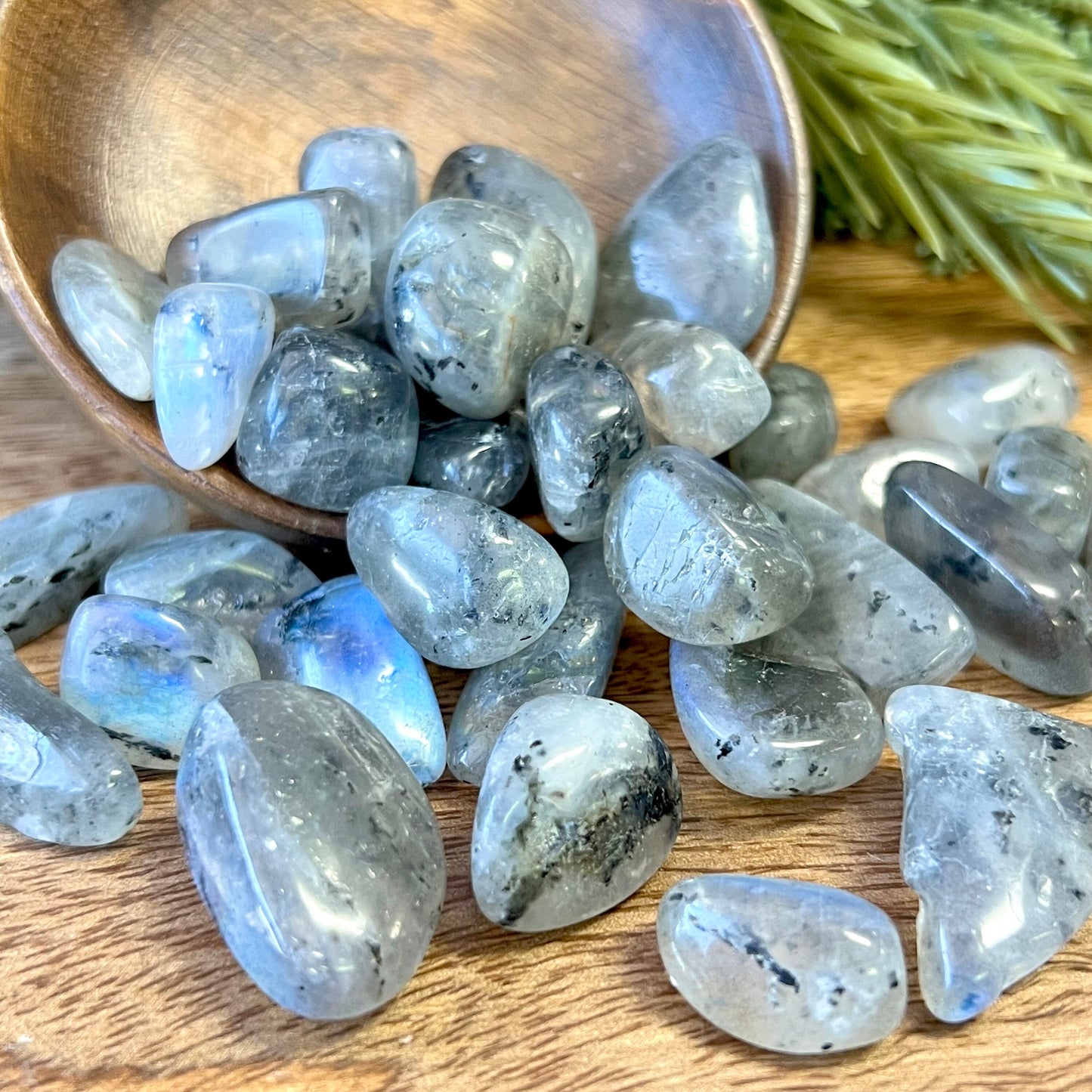 Labradorite AAA Tumbled Crystal - Multiple Sizes