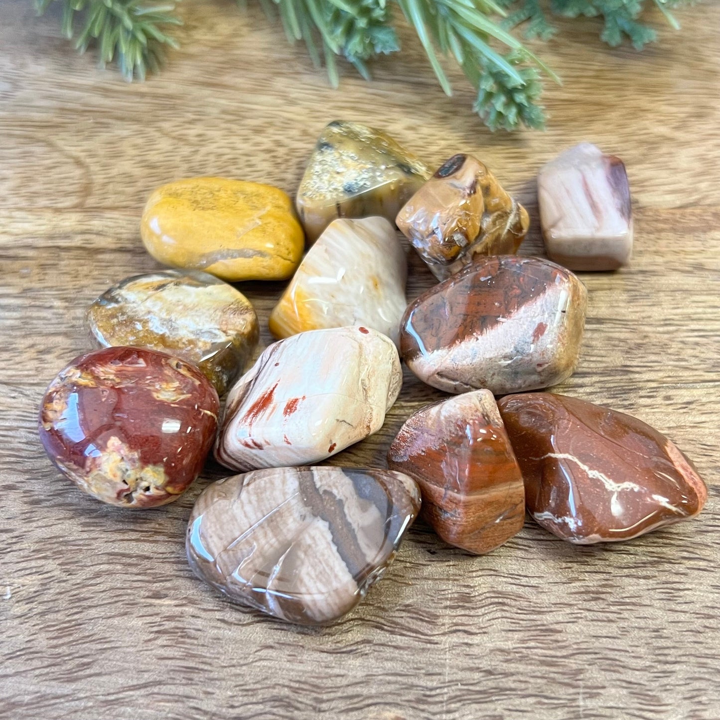a group of colorful petrified Wood tumbled crystals on a wood surface