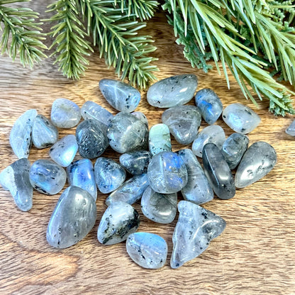 Labradorite AAA Tumbled Crystal - Multiple Sizes