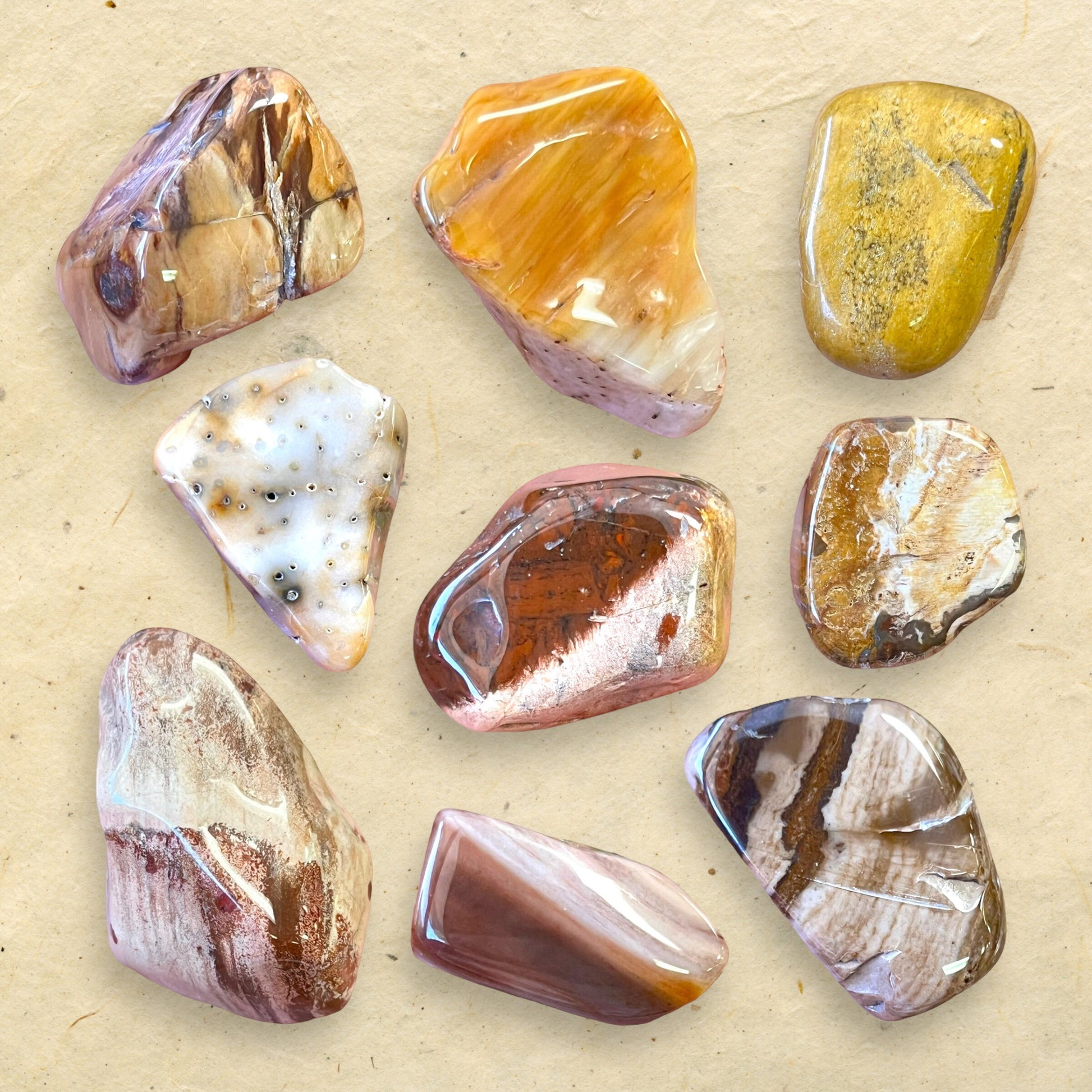 a collage of a group of colorful petrified Wood tumbled crystals