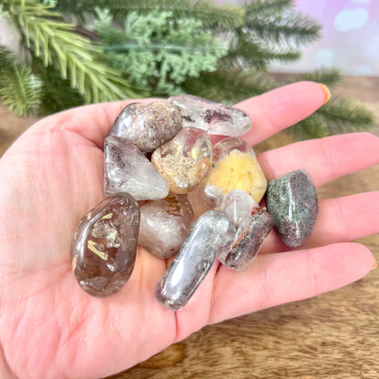 Garden Quartz Lodolite Tumbled Crystal - Multiple Sizes