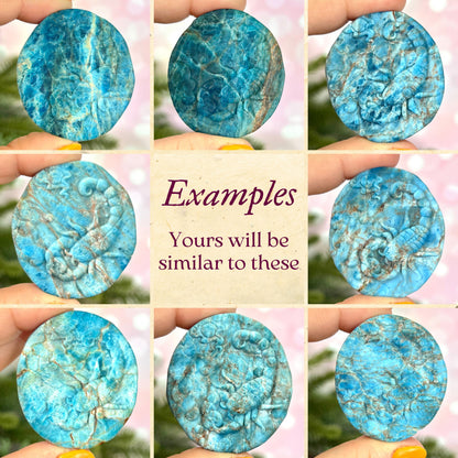 Scorpion Blue Apatite Crystal Carved Cabochon - You get one