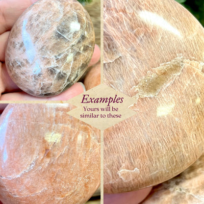 Peach Moonstone Palm Stone - You get one