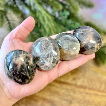 Black Moonstone Palm Stone Tumbled Crystal - You get one