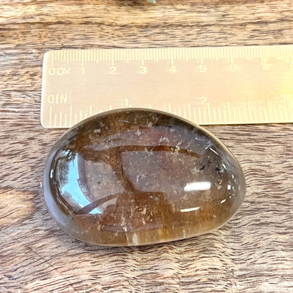 Smoky Garden Quartz polished lens. Also called Lodolite, this mini palm stone is domed and polished except for the raw bottom.