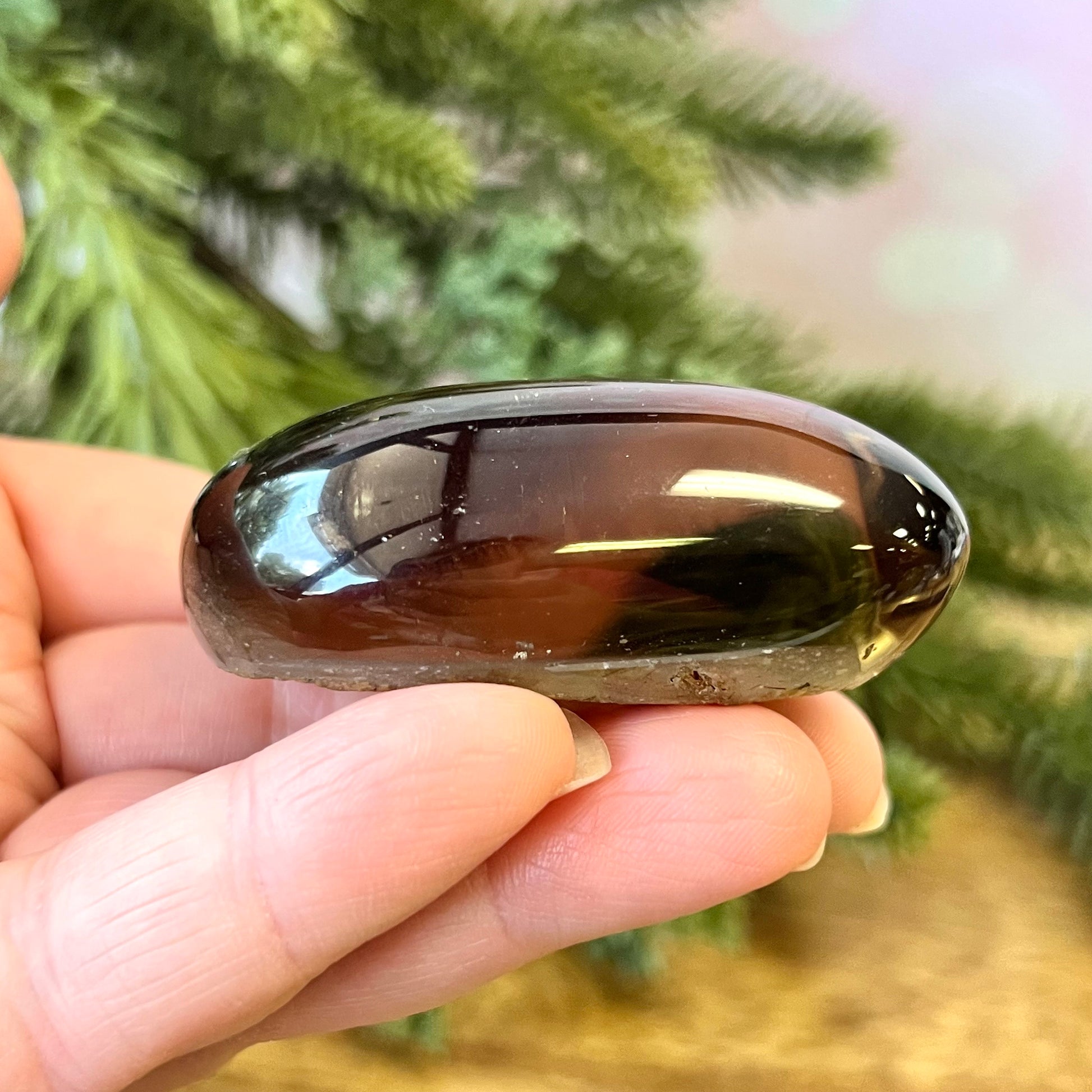 Smoky Garden Quartz polished lens. Also called Lodolite, this mini palm stone is domed and polished except for the raw bottom.