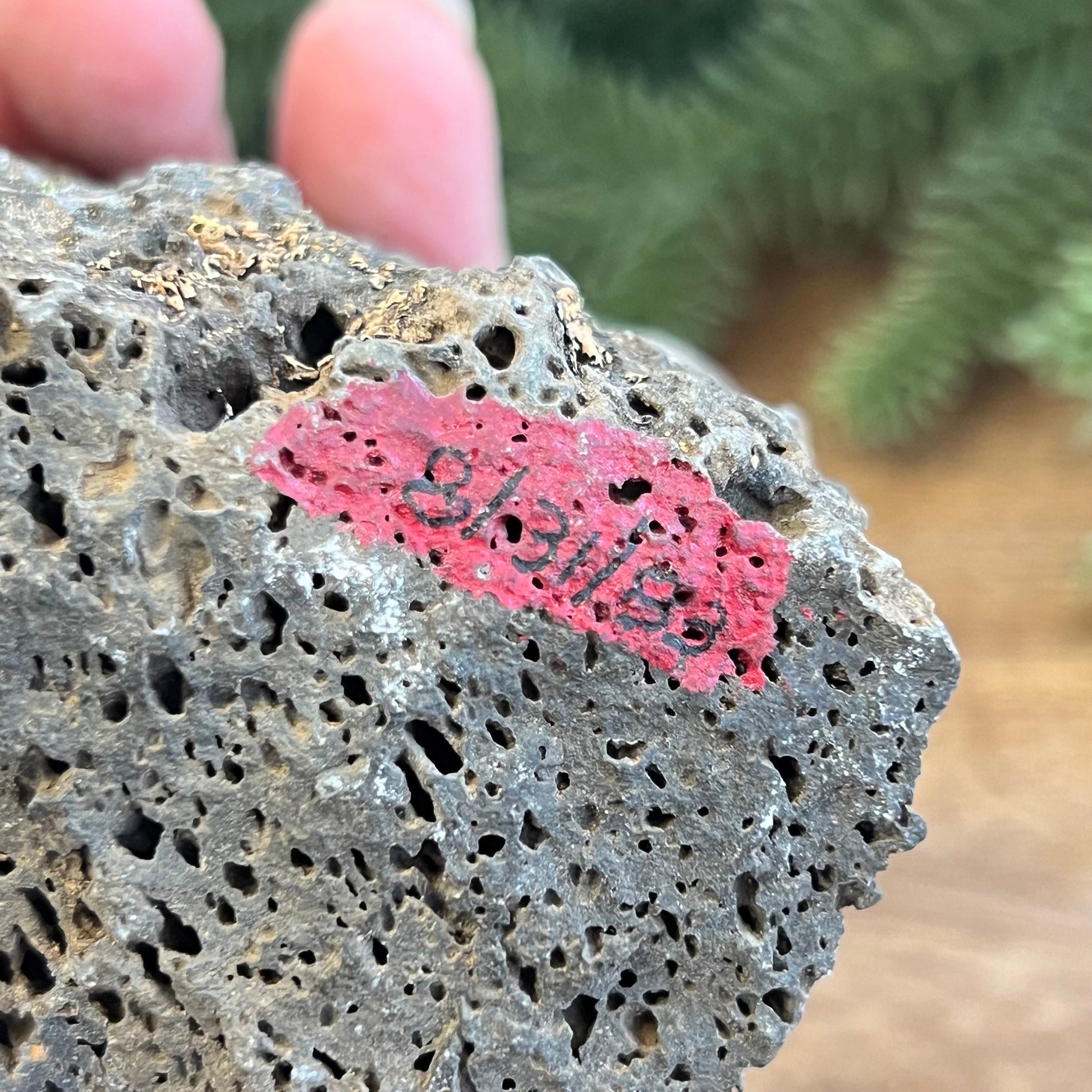 Image of a large, rough chunk of black Lava Rock Stone on a wooden table. Has rough texture with lots of holes. Shows an area of red paint with number from a previous owner&#39;s collection