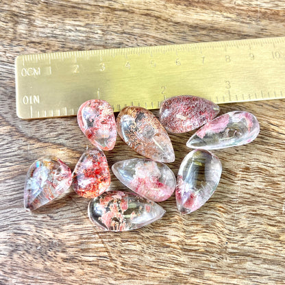a group of dyed red Garden Quartz tumbled crystals in a teardrop shape next to a gold ruler