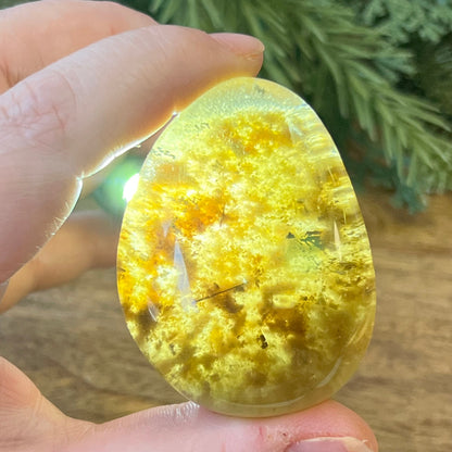 Smoky Garden Quartz polished lens. Also called Lodolite, this mini palm stone is domed and polished except for the raw bottom.