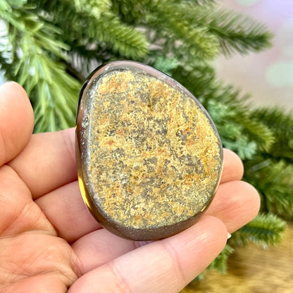 Smoky Garden Quartz polished lens. Also called Lodolite, this mini palm stone is domed and polished except for the raw bottom.