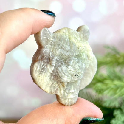 Tiger Sunstone in Moonstone (Belomorite) Carved Stone Cabochon