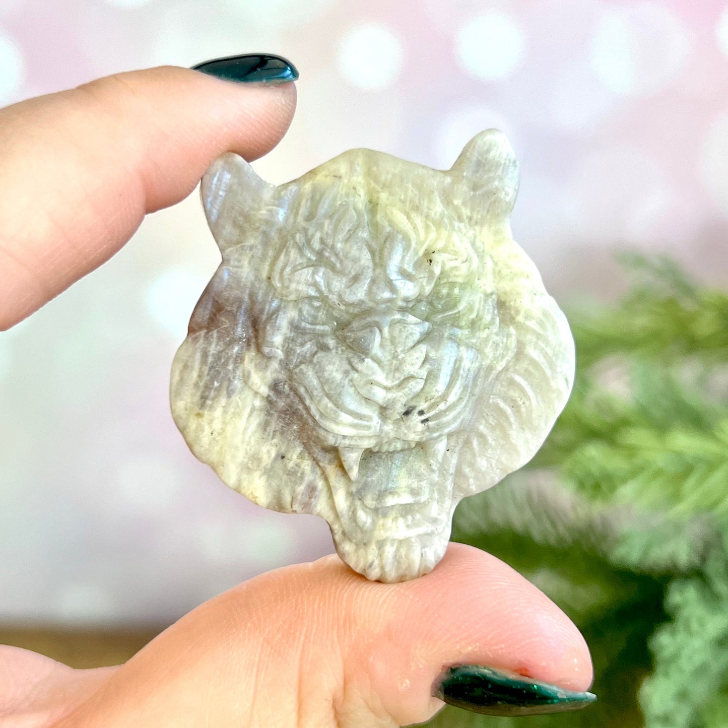 Tiger Sunstone in Moonstone (Belomorite) Carved Stone Cabochon