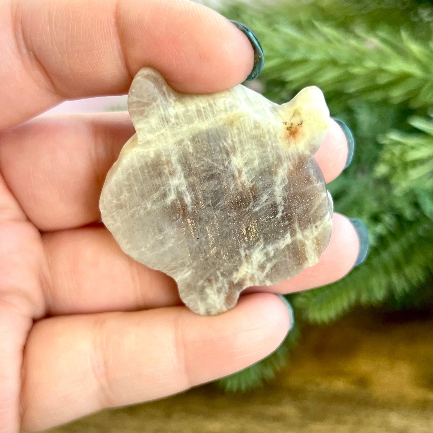 Tiger Sunstone in Moonstone (Belomorite) Carved Stone Cabochon