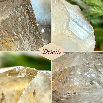 Clear Quartz Crystal Partial Point