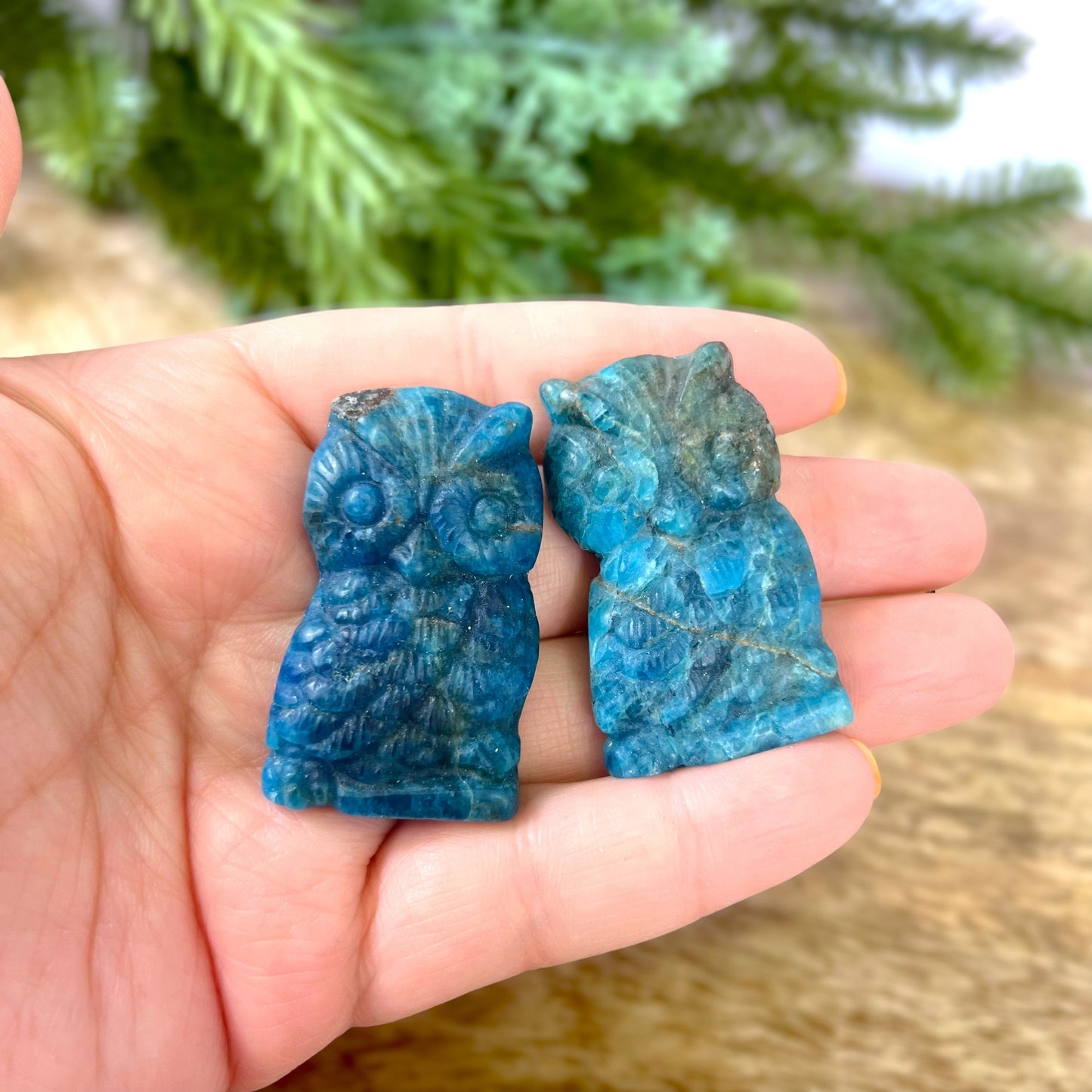 Blue Apatite carved stone cabochons featuring an Owl