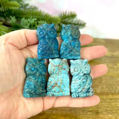 Blue Apatite carved stone cabochons featuring an Owl