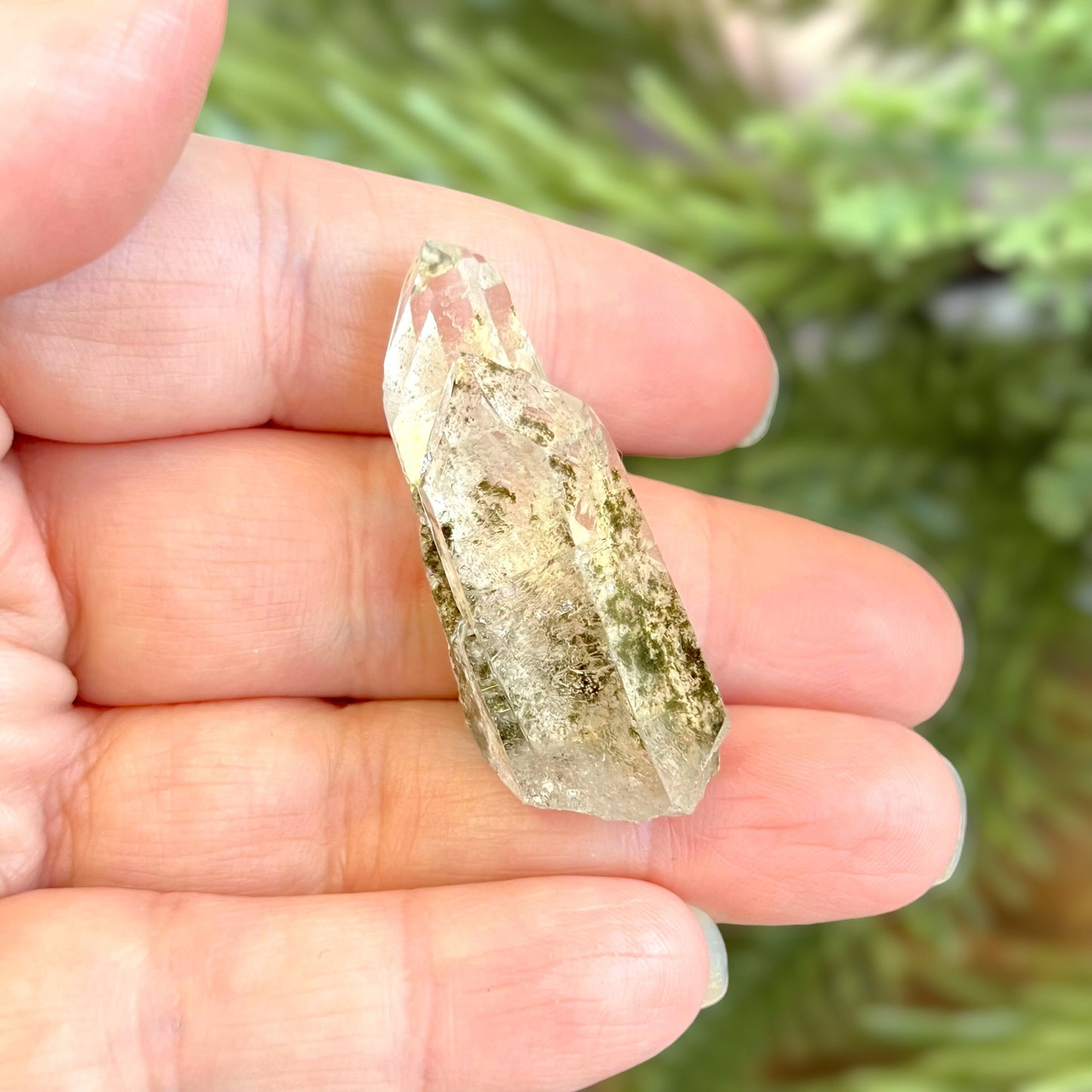 Close up of a small garden Quartz crystal point with chlorite inclusions. This mineral specimen is also called Lodolite, and is natural.