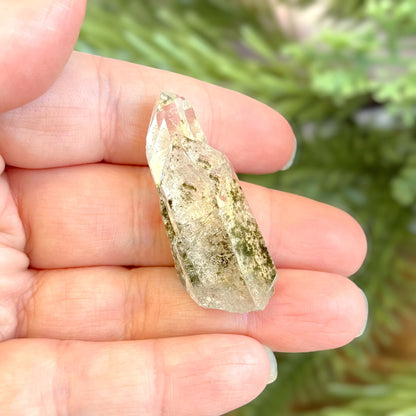 Close up of a small garden Quartz crystal point with chlorite inclusions. This mineral specimen is also called Lodolite, and is natural.