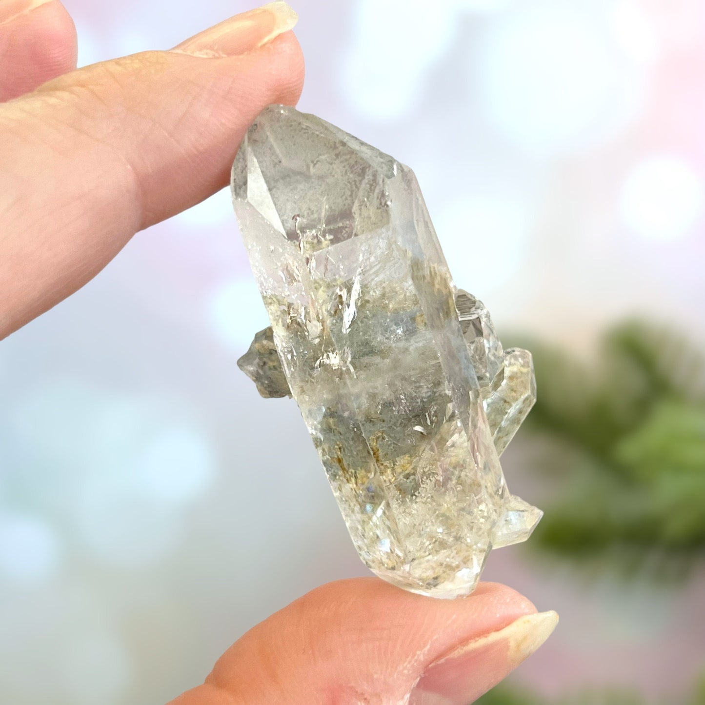 Close up of a small garden Quartz crystal point with chlorite inclusions. This mineral specimen is also called Lodolite, and is natural.