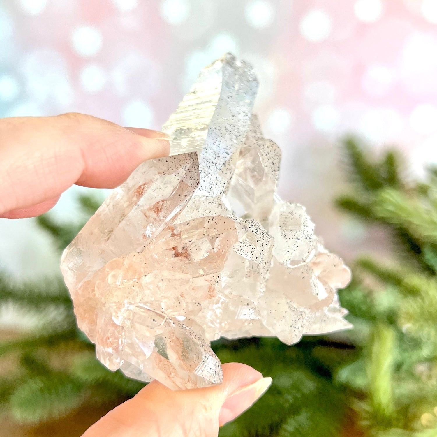 Close up of a Himalayan Quartz crystal cluster covered with small pinprick inclusions of Black Hematite.