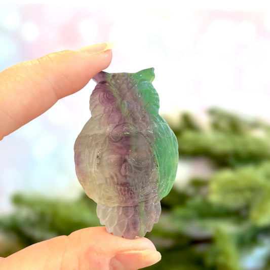 Rainbow Fluorite Crystal carved stone cabochon featuring an owl and human skull
