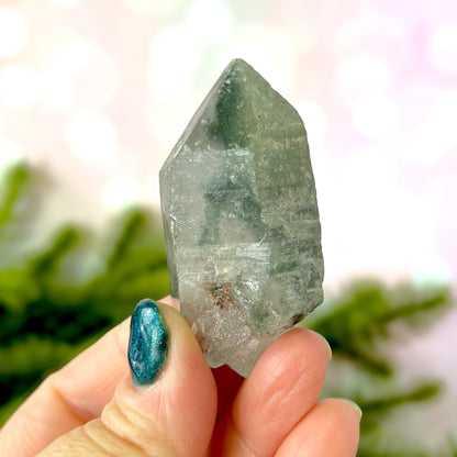 Close up of a small garden Quartz crystal point with chlorite inclusions. This mineral specimen is also called Lodolite, and is natural.