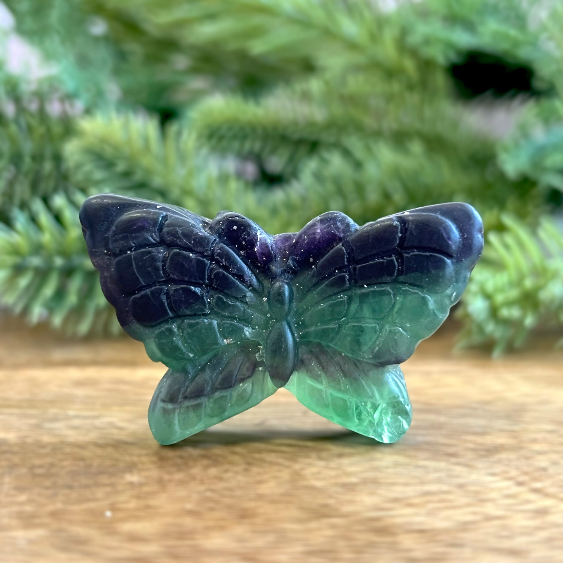 Rainbow Fluorite Crystal carved stone cabochon in the shape of a butterfly