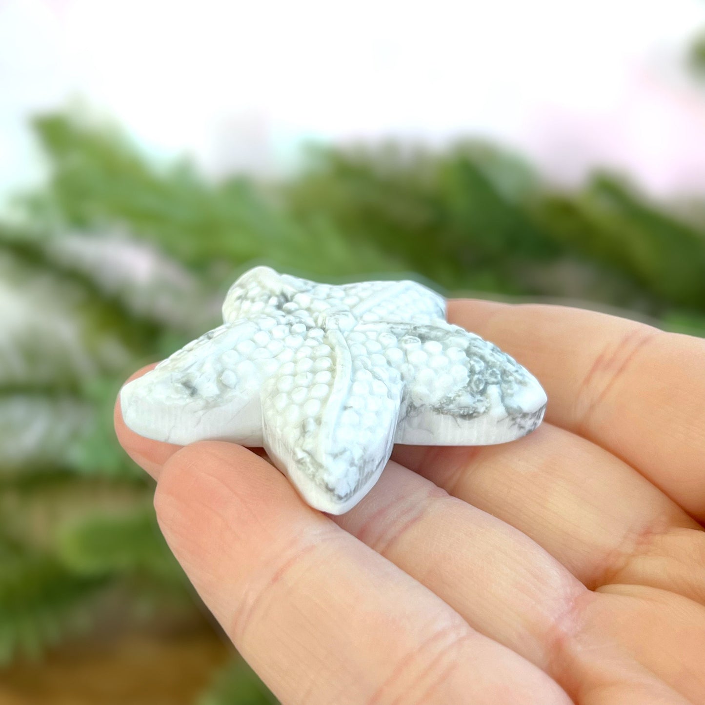 Natural and authentic Magnesite carved crystal cabochon. This Stone Cabochon has been carved into a starfish.